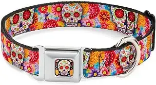 Buckle Down 9 – 15 "azúcar Calaveras Estrellas Blanco/Multi Color Collar de Perro