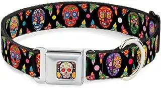 Buckle Down 9 – 15 "Colorido Calaveras Negro/Multi Color Collar de Perro