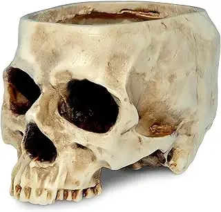 Maceta READAEER de calavera con drenaje