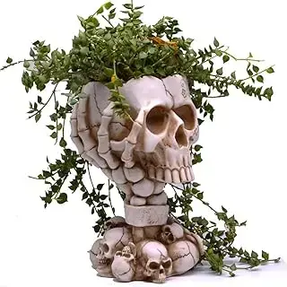 Macetero gótico de calavera blanca