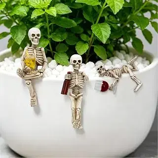 Maceta decorativa de esqueleto para Halloween