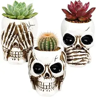 Juego de tres macetas de cabeza de calavera