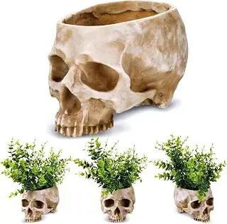 Juego Domensi de cuatro macetas de calavera