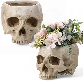 Juego de dos maceteros vintage de calavera