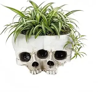 Macetero gótico de doble calavera para suculentas