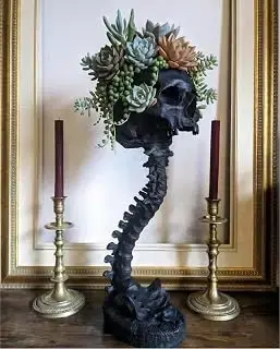 Maceta de esqueleto para plantas de aire