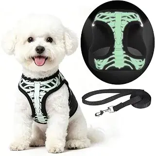 KOOLTAIL skeleton harness and lead set