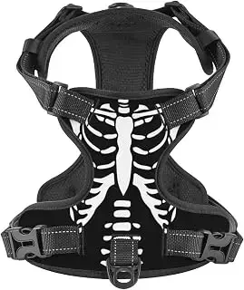 Skeleton dog harness and lead